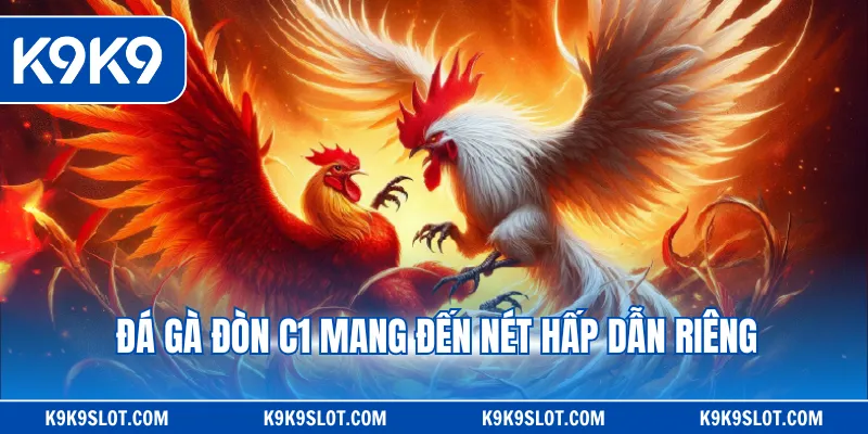 Đá gà đòn C1 mang đến nét hấp dẫn riêng