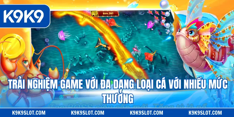 Trải nghiệm game với đa dạng loại cá với nhiều mức thưởng