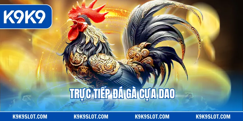 trực tiếp đá gà cựa dao